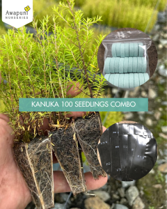 Kanuka 100 Seedling Combo
